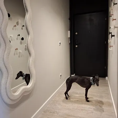 Boho - 100m From Market Square شقة فروتسواف